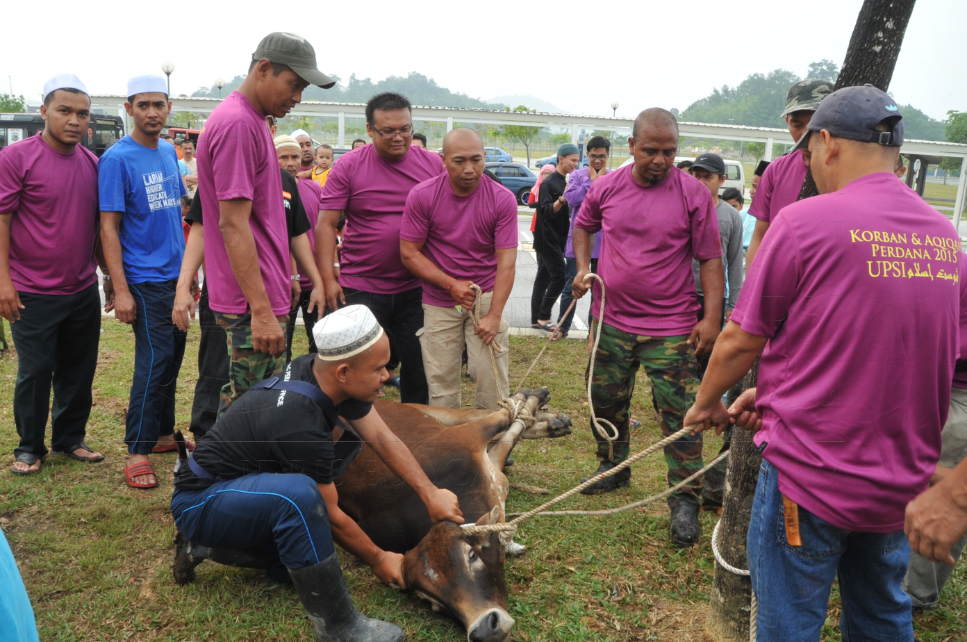 PRO15 150 KORBAN HAS 6738